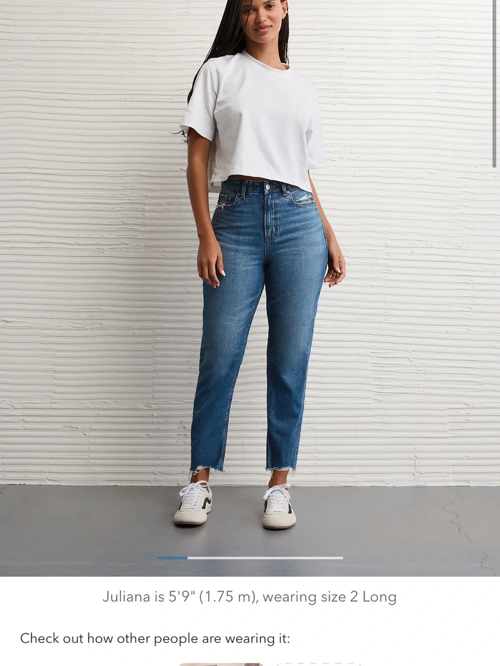 AE Curvy Mom Jean